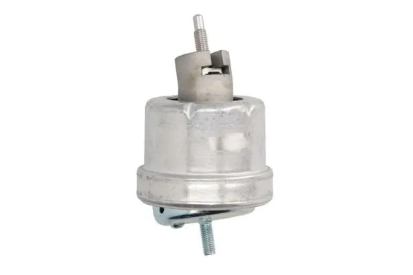 RH115021 Reinhoch