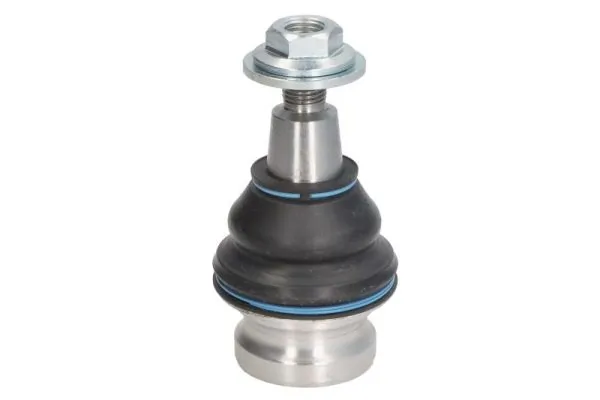 RH030042 Reinhoch