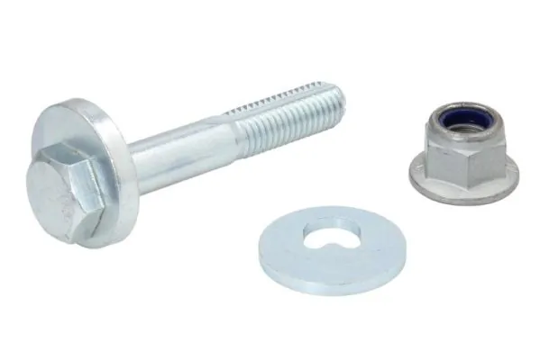 RH154019 Reinhoch
