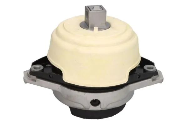 RH113104 Reinhoch