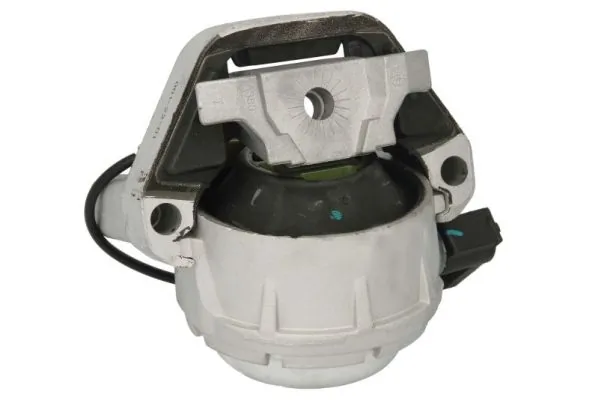 RH110163 Reinhoch