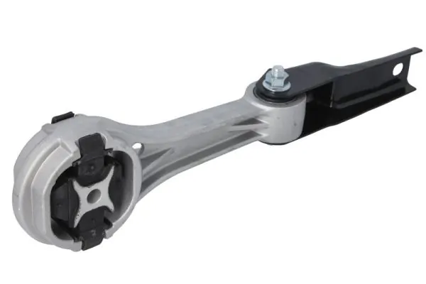 RH110170 Reinhoch