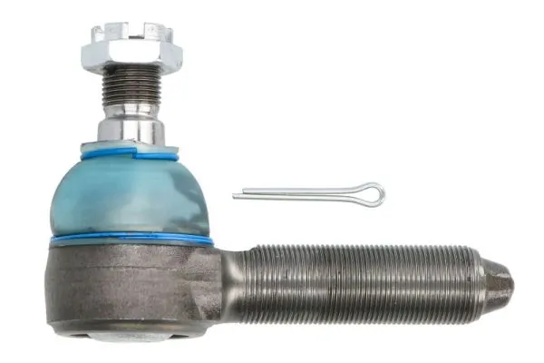 RH523018 Reinhoch