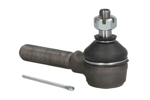 RH571001 Reinhoch