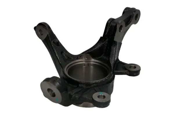 RH088005 Reinhoch