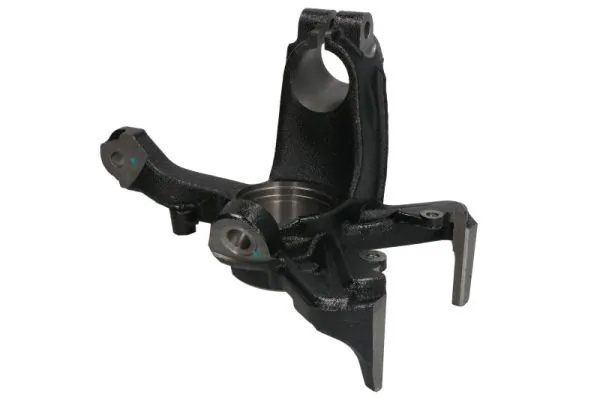 RH080009 Reinhoch