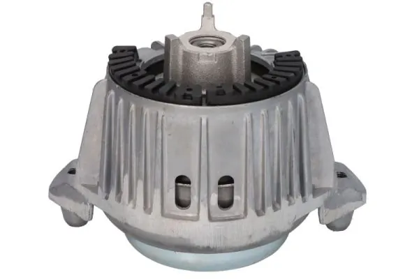 RH113101 Reinhoch