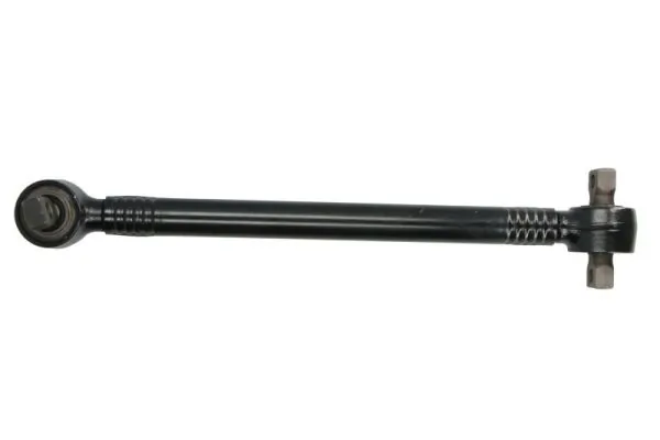 RH539023 Reinhoch