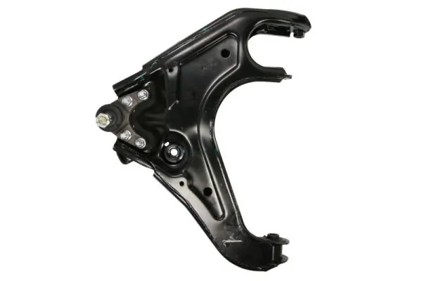 RH044060 Reinhoch