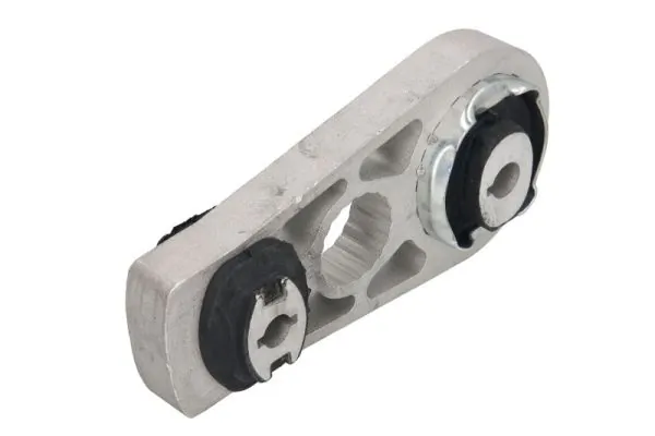 RH112170 Reinhoch