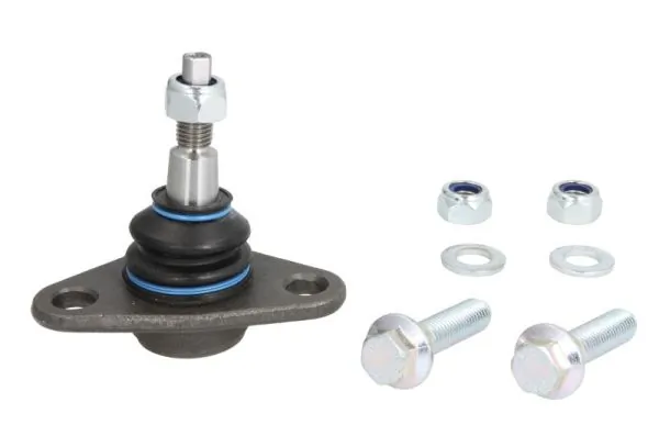 RH034007 Reinhoch
