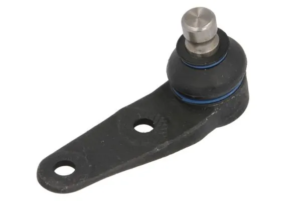 RH030003 Reinhoch