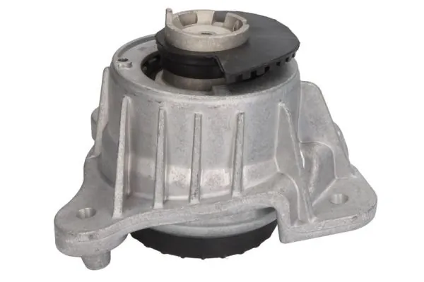 RH113120 Reinhoch