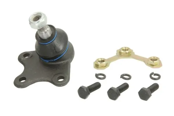 RH030002 Reinhoch