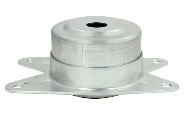 RH115018 Reinhoch