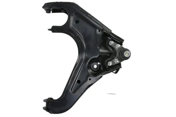 RH044059 Reinhoch
