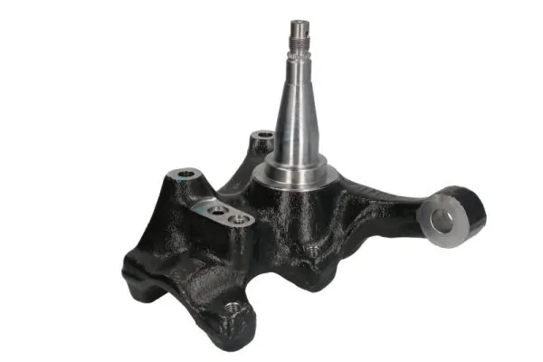 RH084025 Reinhoch