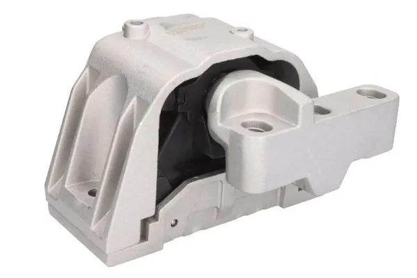 RH110166 Reinhoch
