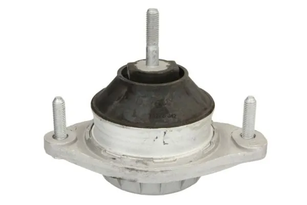 RH110116 Reinhoch