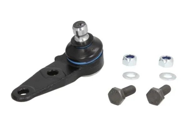 RH030037 Reinhoch