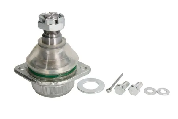 RH035014 Reinhoch