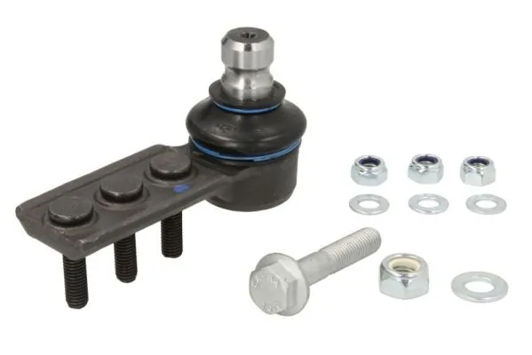 RH034019 Reinhoch