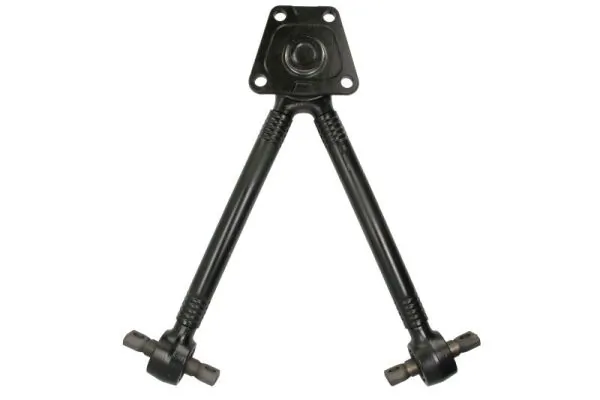 RH538009 Reinhoch