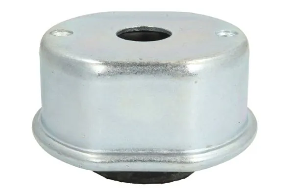 RH110132 Reinhoch