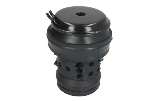 RH110005 Reinhoch
