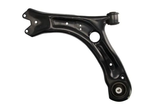 RH040044 Reinhoch