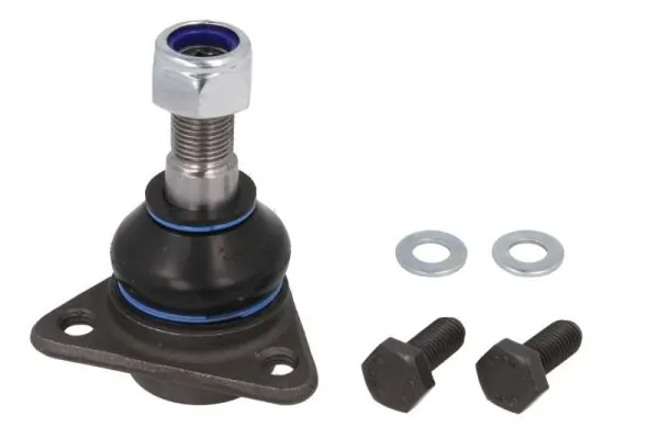 RH030031 Reinhoch