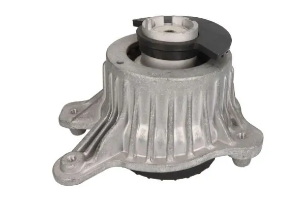 RH113105 Reinhoch