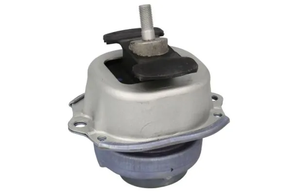 RH113094 Reinhoch