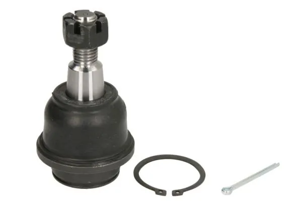 RH034025 Reinhoch