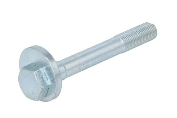 RH150041 Reinhoch