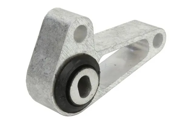 RH111074 Reinhoch