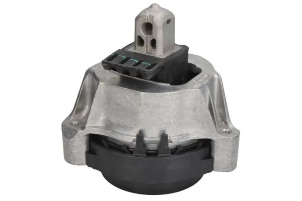 RH113114 Reinhoch