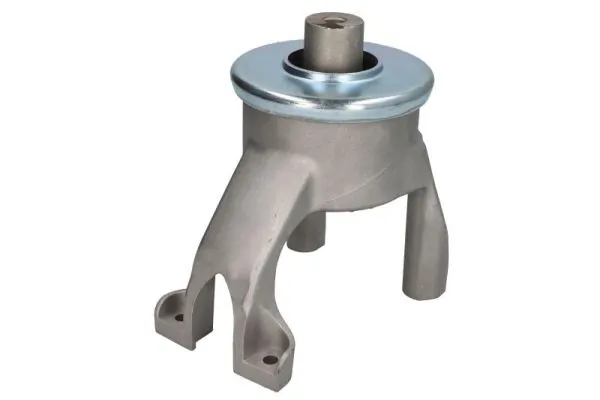 RH110158 Reinhoch