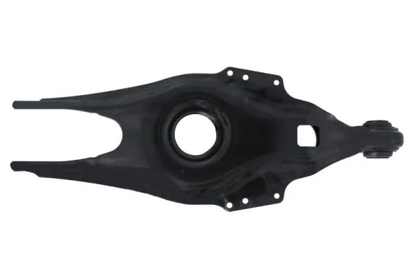 RH053039 Reinhoch