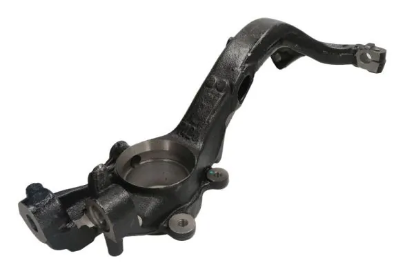 RH080038 Reinhoch