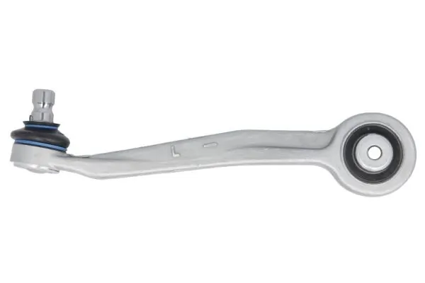 RH040081 Reinhoch