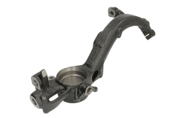 RH080035 Reinhoch