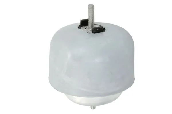 RH110119 Reinhoch