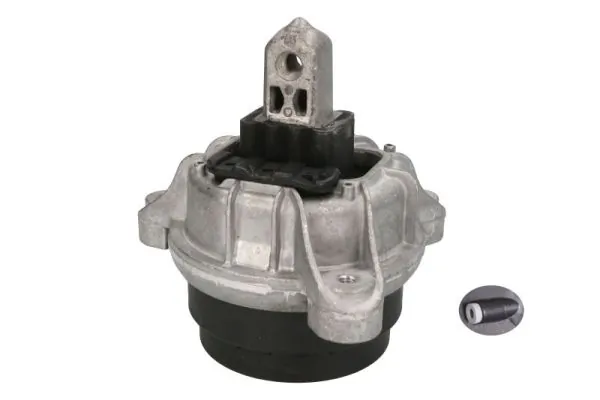 RH113079 Reinhoch