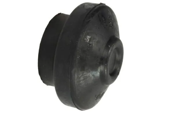 RH110043 Reinhoch