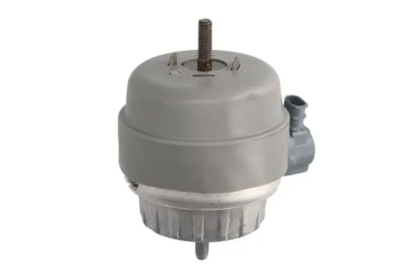 RH110127 Reinhoch