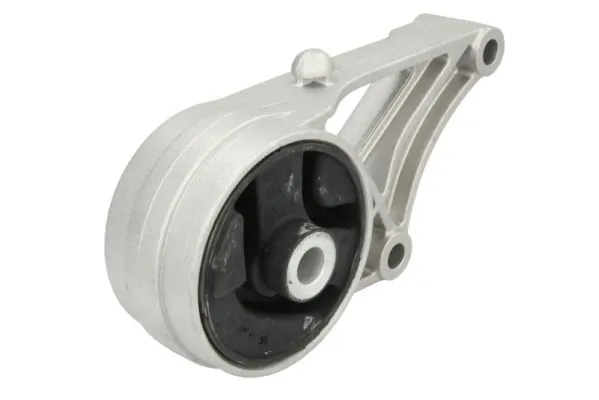 RH111017 Reinhoch