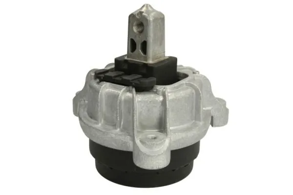 RH113048 Reinhoch