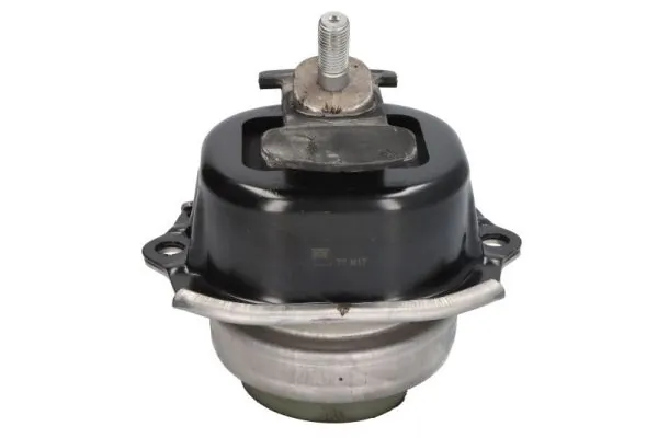 RH113093 Reinhoch