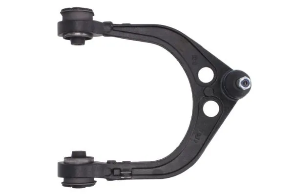 RH046021 Reinhoch